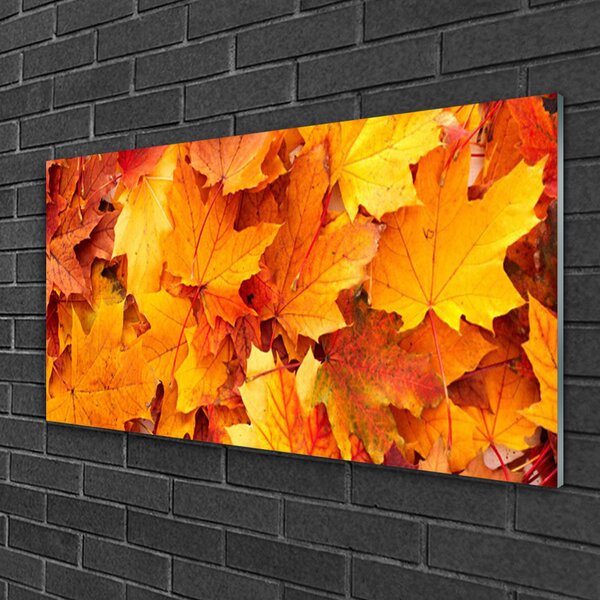 Quadro di vetro Foglia Natura Pianta 100x50 cm 2 appendini
