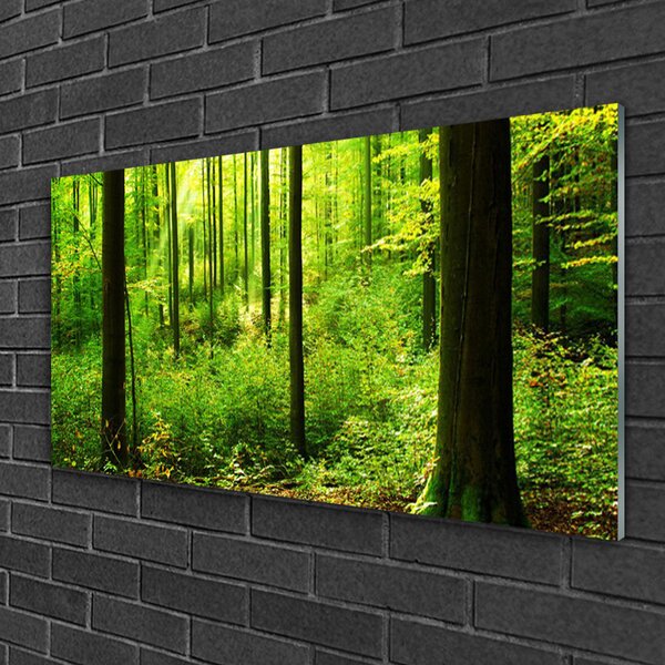 Quadro vetro Foresta Verde Alberi Natura 100x50 cm 2 appendini