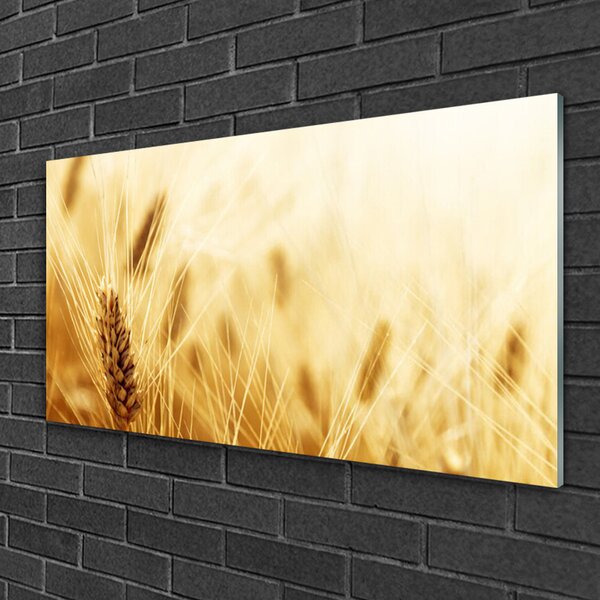Quadro di vetro Grano Natura Pianta 100x50 cm 2 appendini