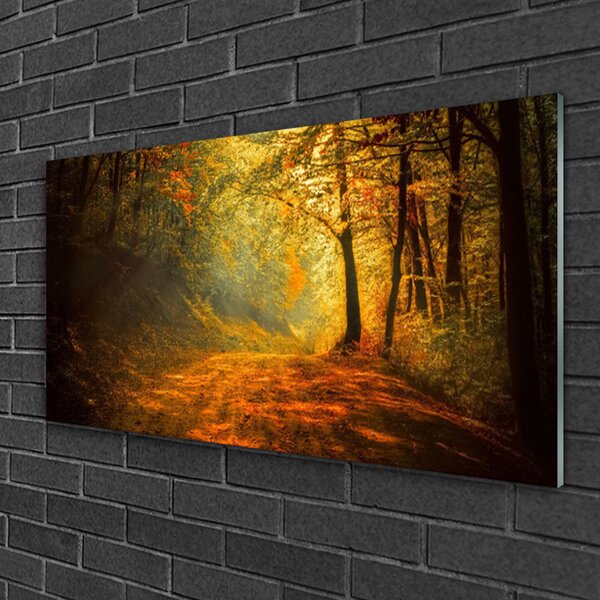 Quadro di vetro Sentiero forestale Alberi Natura 100x50 cm 2 appendini