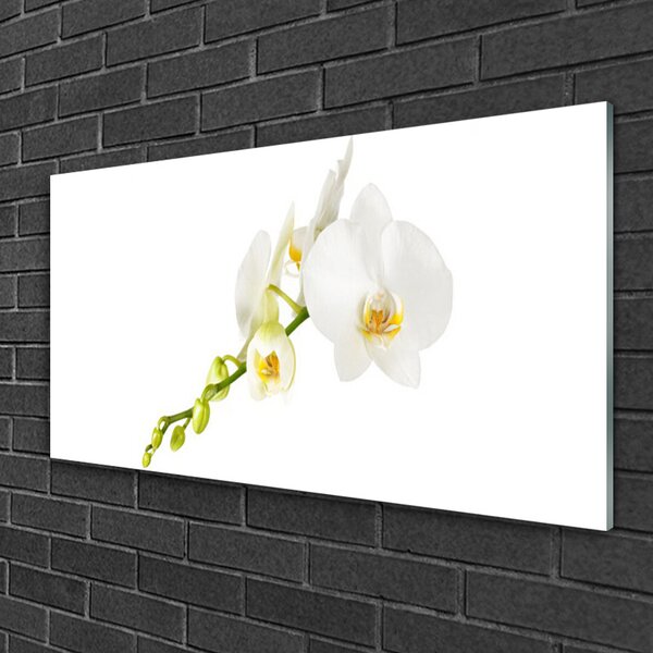 Quadro in vetro Fiori Pianta naturale 100x50 cm 2 appendini