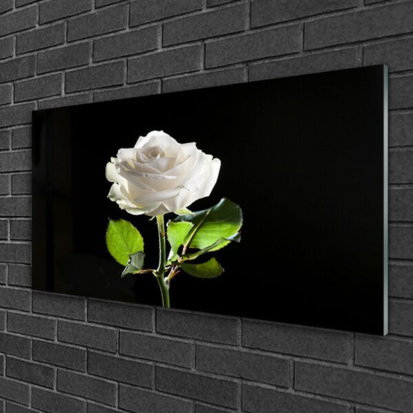 Quadro in vetro Fiore di rosa pianta naturale 100x50 cm 2 appendini