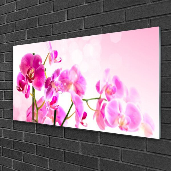 Quadro in vetro Fiori Pianta naturale 100x50 cm 2 appendini