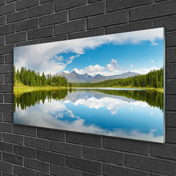Quadro vetro Foresta Lago Montagne Paesaggio 100x50 cm 2 appendini