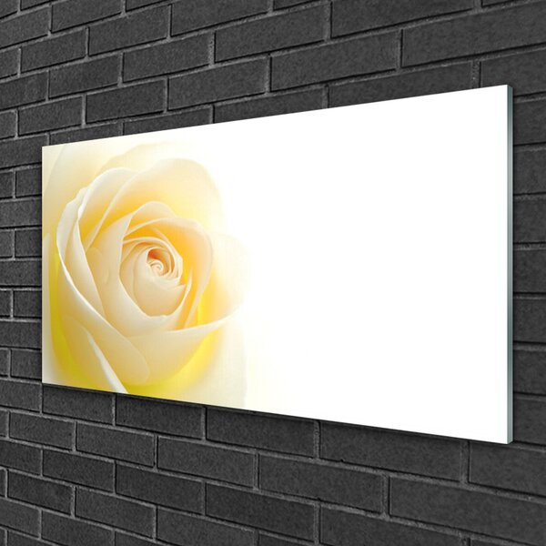 Quadro vetro Fiore di rosa pianta naturale 100x50 cm 2 appendini