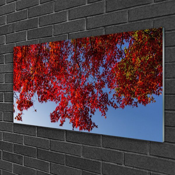 Quadro su vetro Albero Foglie Rami Natura 100x50 cm 2 appendini