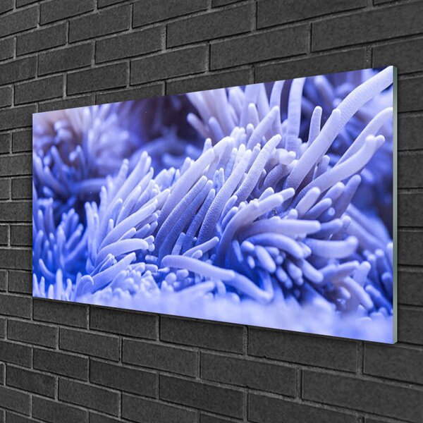 Quadro in vetro Grafica astratta 100x50 cm 2 appendini