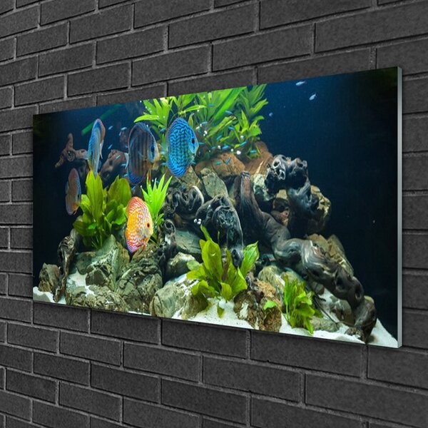 Quadro su vetro Pesce Natura Acquario 100x50 cm 2 appendini