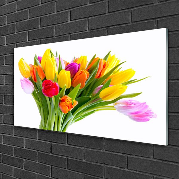 Quadro in vetro Tulipani Fiori Pianta 100x50 cm 2 appendini