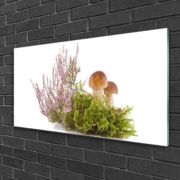 Quadro di vetro Funghi Pianta Natura 100x50 cm 2 appendini
