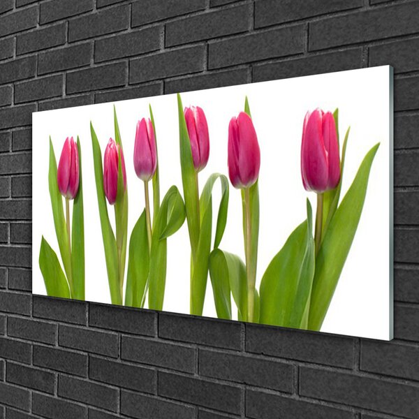 Quadro vetro Tulipani Fiori Pianta 100x50 cm 2 appendini
