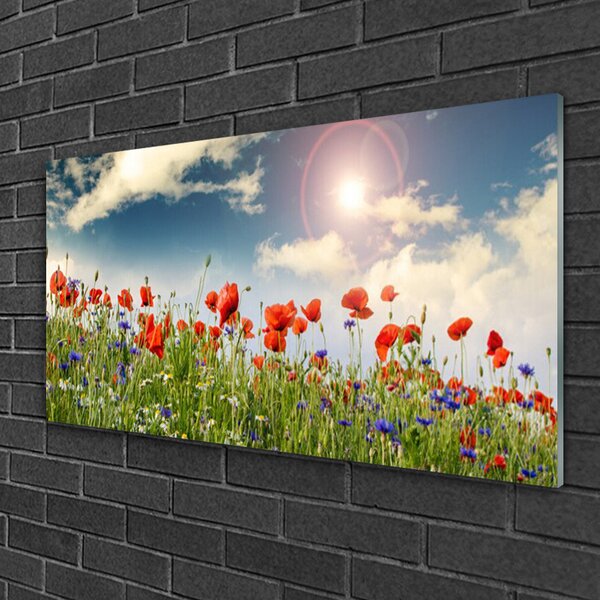 Quadro in vetro Prato Fiori Sole Natura 100x50 cm 2 appendini
