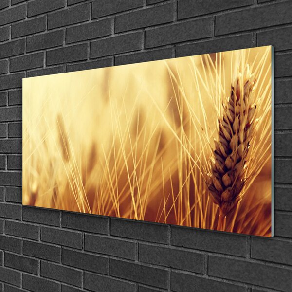 Quadro di vetro Grano Natura Pianta 100x50 cm 2 appendini