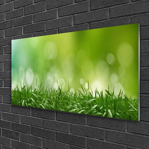 Quadro in vetro Erba Pianta Natura 100x50 cm 2 appendini