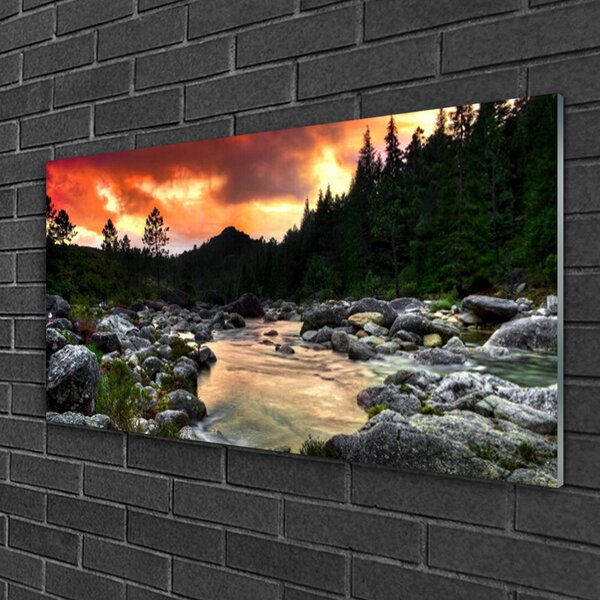 Quadro di vetro Lago River Forest Natura 100x50 cm 2 appendini