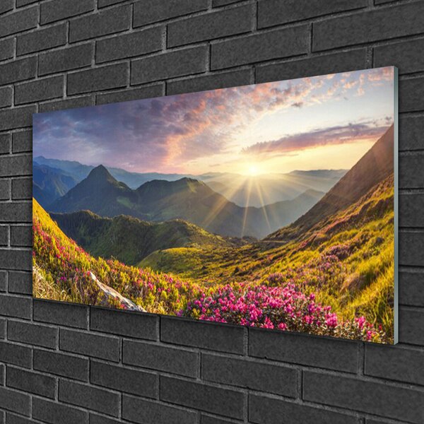 Quadro su vetro Prato di montagna Sole Paesaggio 100x50 cm 2 appendini