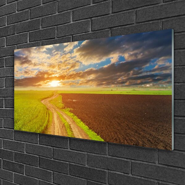 Quadro vetro Campo Cielo Sole Natura 100x50 cm 2 appendini