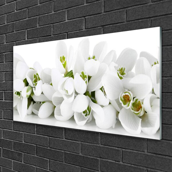 Quadro di vetro Fiori Pianta naturale 100x50 cm 2 appendini