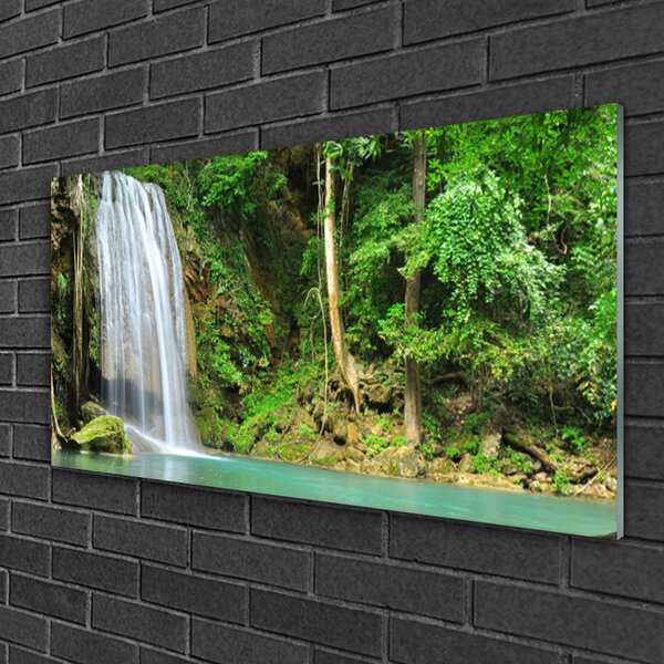 Quadro vetro Cascata Foresta Natura 100x50 cm 2 appendini