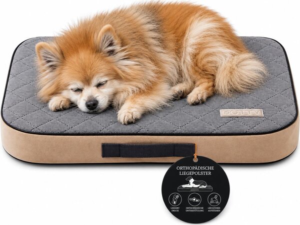 DOTTY Materasso ortopedico per cani S 60 × 45 cm, cuccia lavabile in schiuma memory VISCO Standard 100
