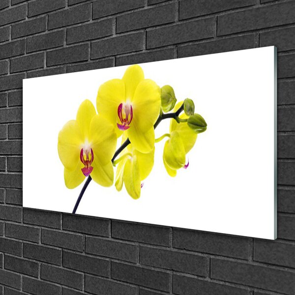 Quadro vetro Fiori Pianta naturale 100x50 cm 2 appendini