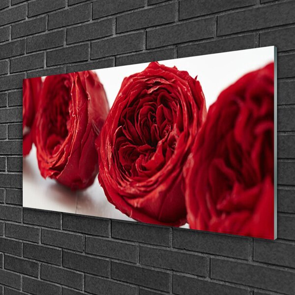 Quadro su vetro Rose Fiori Pianta 100x50 cm 2 appendini