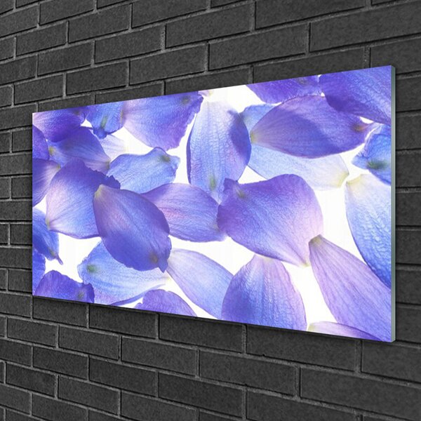 Quadro in vetro Petali Pianta Natura 100x50 cm 2 appendini