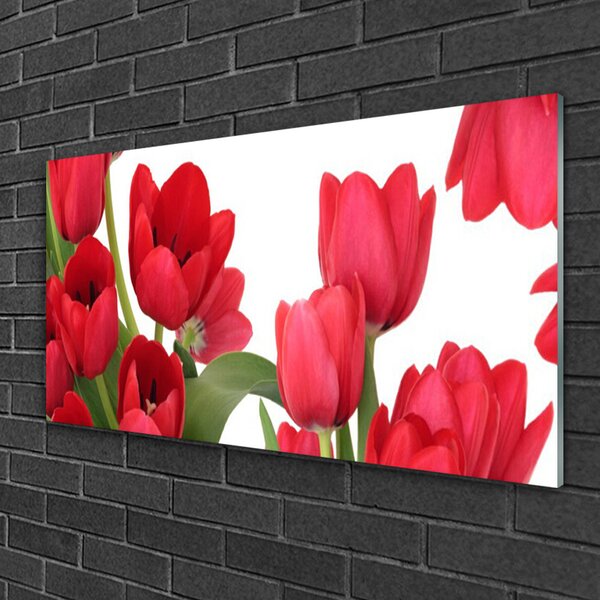 Quadro di vetro Tulipani Fiori Pianta 100x50 cm 2 appendini