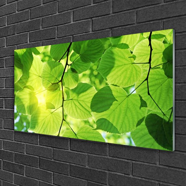 Quadro di vetro Foglia Natura Pianta 100x50 cm 2 appendini