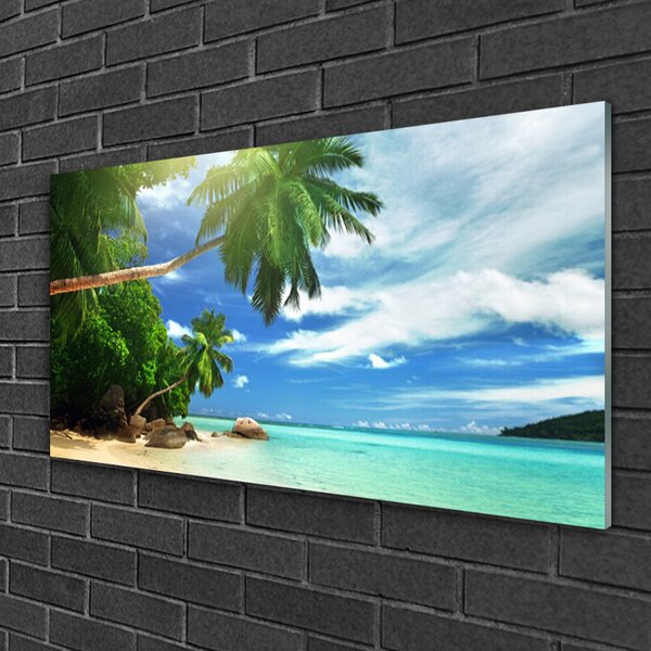 Quadro in vetro Paesaggio marino di Palm Beach 100x50 cm 2 appendini