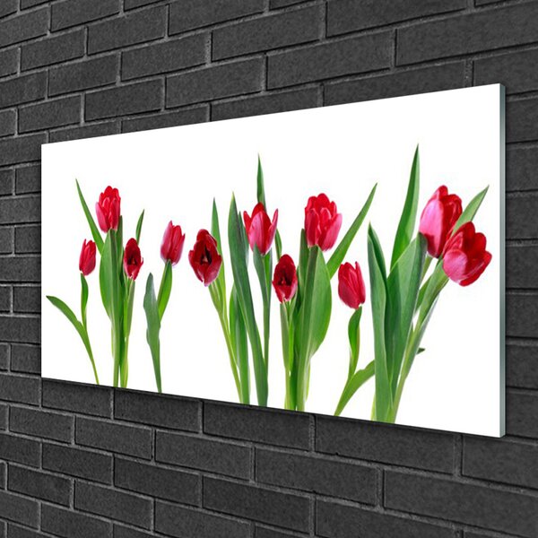 Quadro in vetro Tulipani Fiori Pianta 100x50 cm 2 appendini