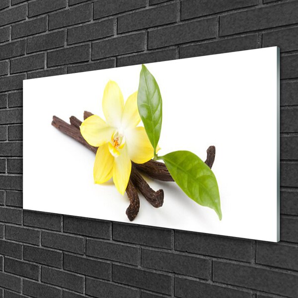 Quadro vetro Pianta delle foglie di vaniglia 100x50 cm 2 appendini