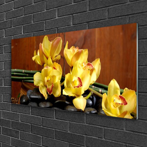 Quadro in vetro Pianta di orchidea da fiore 100x50 cm 2 appendini