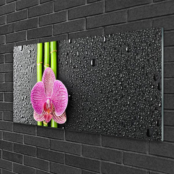 Quadro vetro Fiore di bambù Pianta Natura 100x50 cm 2 appendini