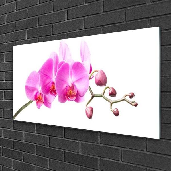 Quadro su vetro Fiori Pianta naturale 100x50 cm 2 appendini