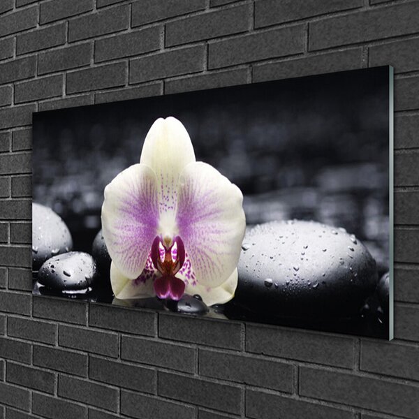 Quadro vetro Pianta di orchidea da fiore 100x50 cm 2 appendini