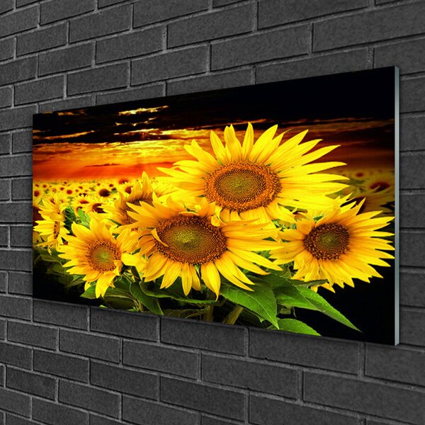 Quadro in vetro Pianta di girasole 100x50 cm 2 appendini
