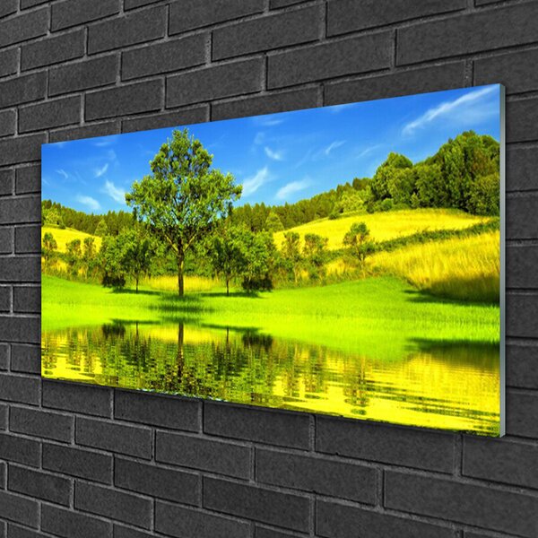 Quadro in vetro Prato Albero Natura 100x50 cm 2 appendini