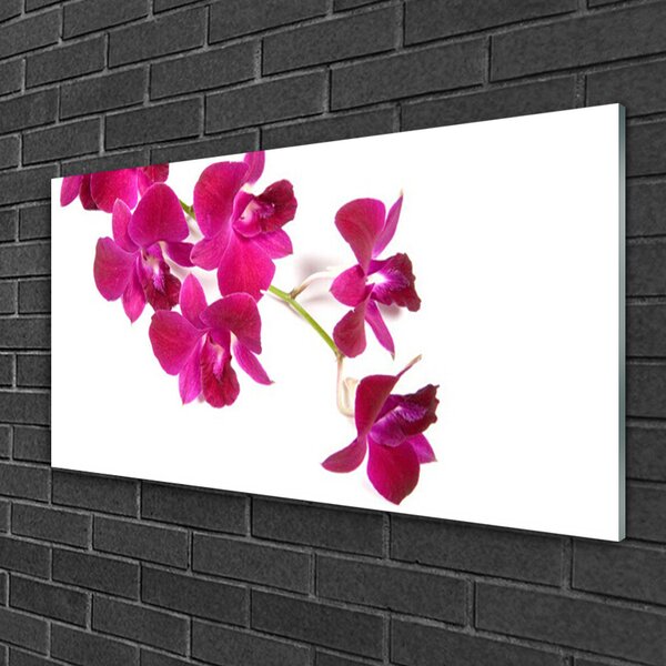 Quadro vetro Fiori Pianta naturale 100x50 cm 2 appendini