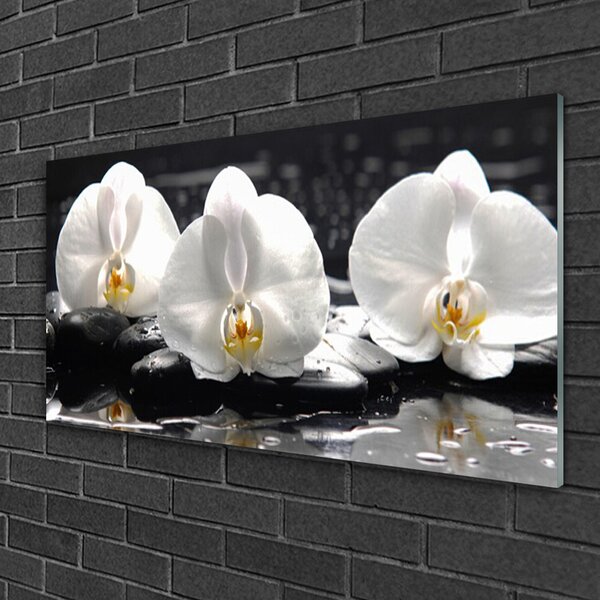 Quadro di vetro Fiore di orchidea bianco 100x50 cm 2 appendini