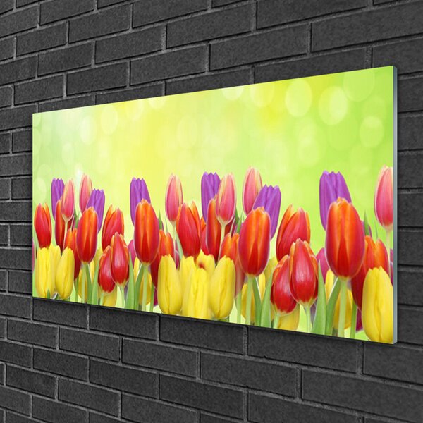 Quadro di vetro Tulipani Fiori Pianta 100x50 cm 2 appendini