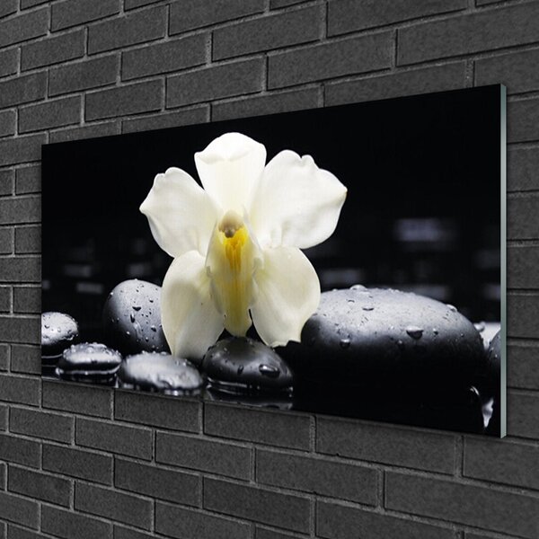 Quadro in vetro Pianta di orchidea da fiore 100x50 cm 2 appendini