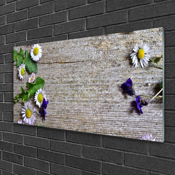 Quadro in vetro Pianta naturale margherita 100x50 cm 2 appendini