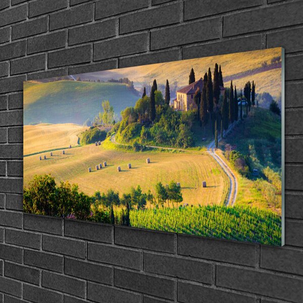 Quadro su vetro Campo Alberi Paesaggio 100x50 cm 2 appendini