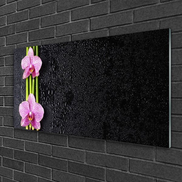Quadro in vetro Fiore di bambù Pianta Natura 100x50 cm 2 appendini