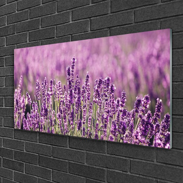 Quadro in vetro Fiori Pianta naturale 100x50 cm 2 appendini