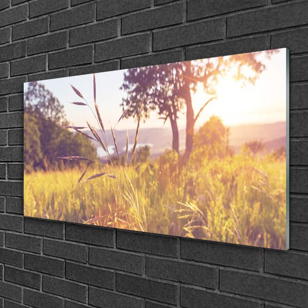 Quadro in vetro Prato Erba Albero Natura 100x50 cm 2 appendini