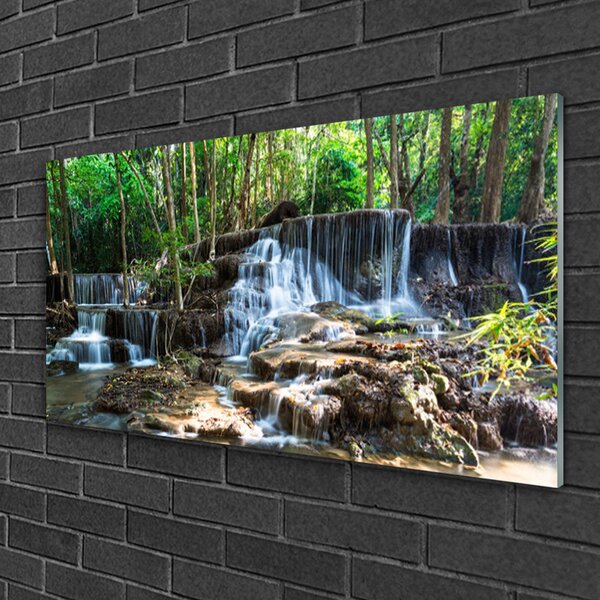 Quadro di vetro Cascata Foresta Natura 100x50 cm 2 appendini