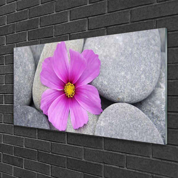 Quadro in vetro Pianta di fiori termali 100x50 cm 2 appendini