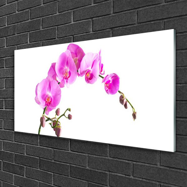 Quadro in vetro Fiori Pianta naturale 100x50 cm 2 appendini
